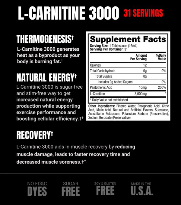 L-CARNITINE 3000 BERRY PROSUPPS 473 ML - Imagen 2